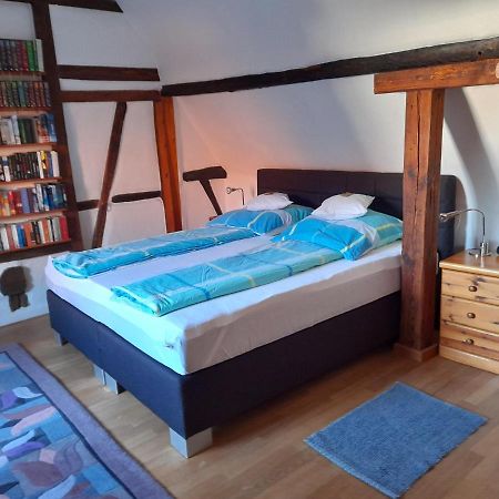 Ferienhaus Pfalzklause Billigheim-Ingenheim Εξωτερικό φωτογραφία